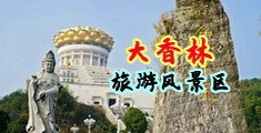 日逼日逼日逼日逼日逼日逼日逼黄片日逼黄片中国浙江-绍兴大香林旅游风景区